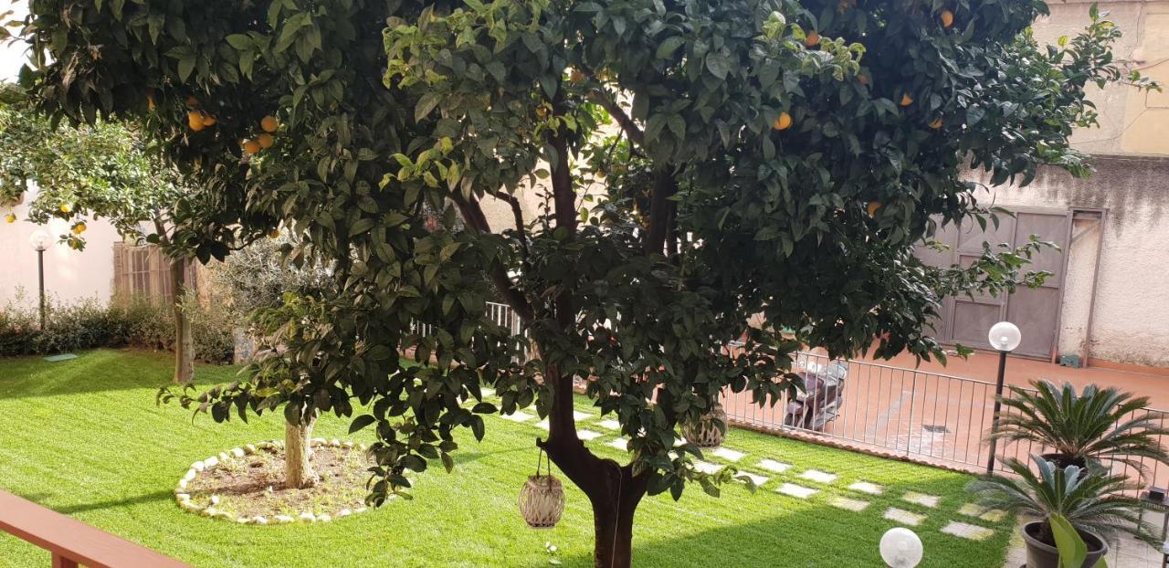 مبيت وإفطار نابولي A Due Passi Dal Museo المظهر الخارجي الصورة